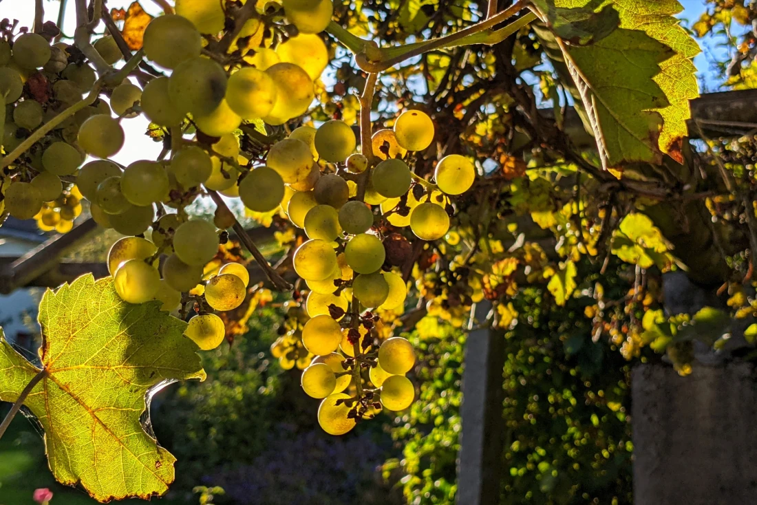 02. Oktober 2021