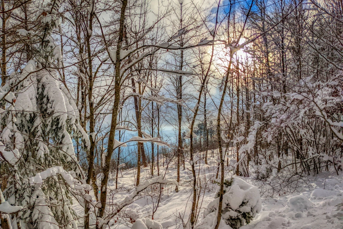 Winternachmittag