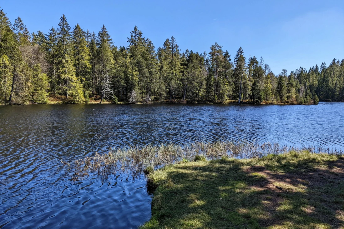Frühlingsnachmittag am Etang