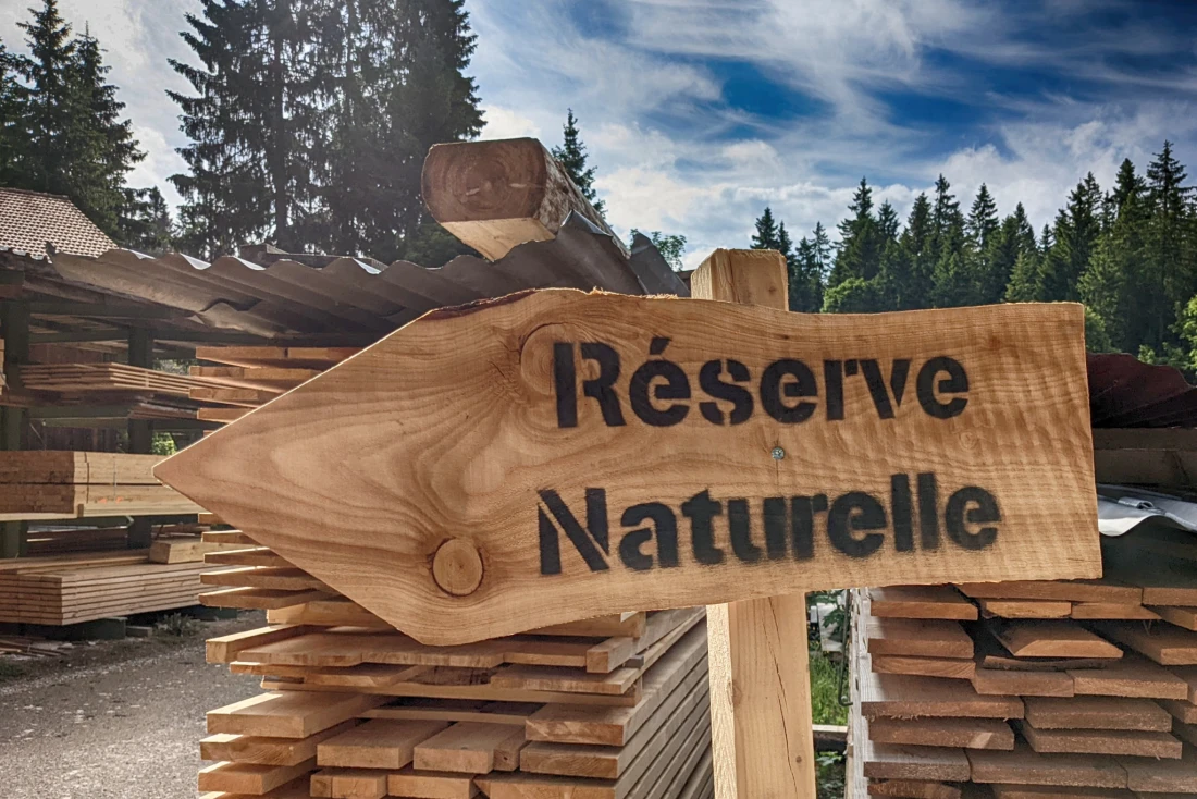 Zeigt neuerdings den Weg