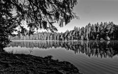 Am Etang de la Gruère