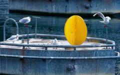 Leserfoto des Tages vom 8. Februar im BT