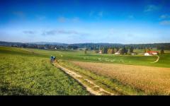 Fahrt über Juraweiden