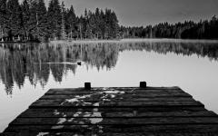 War da jemand? Am Etang de la Gruère