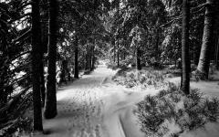 Wir sind nicht die ersten