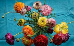 Strauss mit Ranunkeln