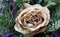 Alles ist vergänglich