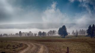Nebel aus dem Tal