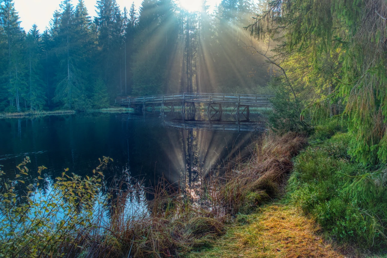 Morgensonne