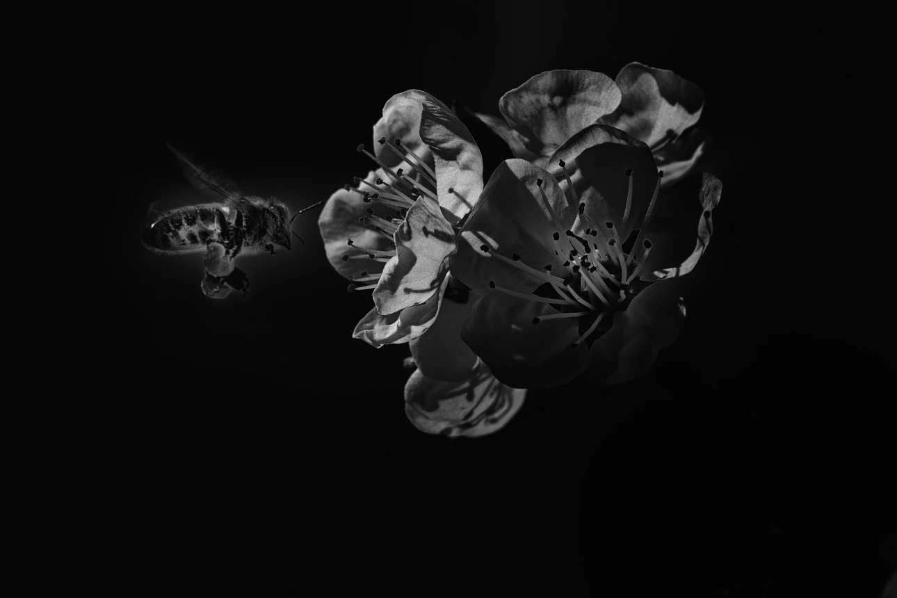 Eine aus der Arbeiterklasse