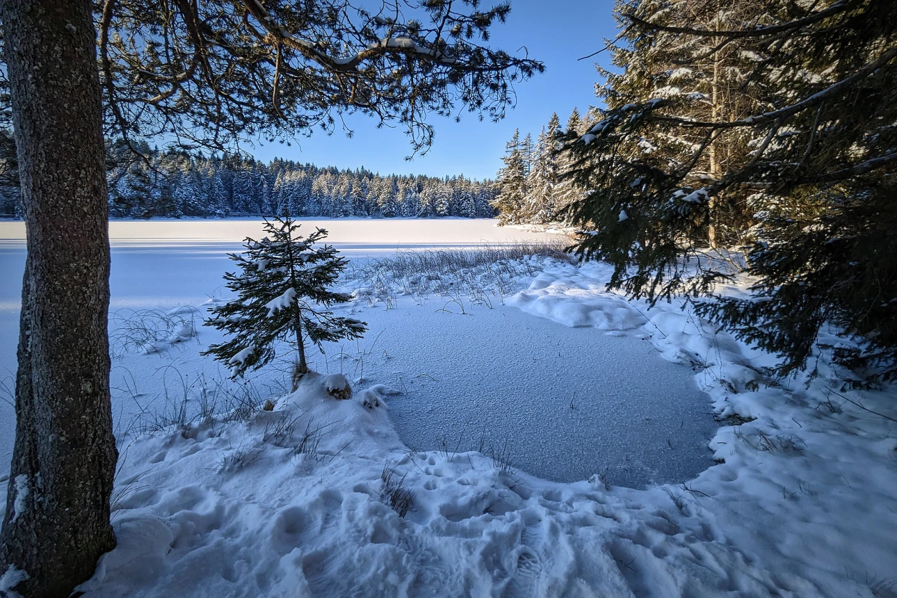Am Etang de la Gruère bei minus 14 Grad und Morgensonne