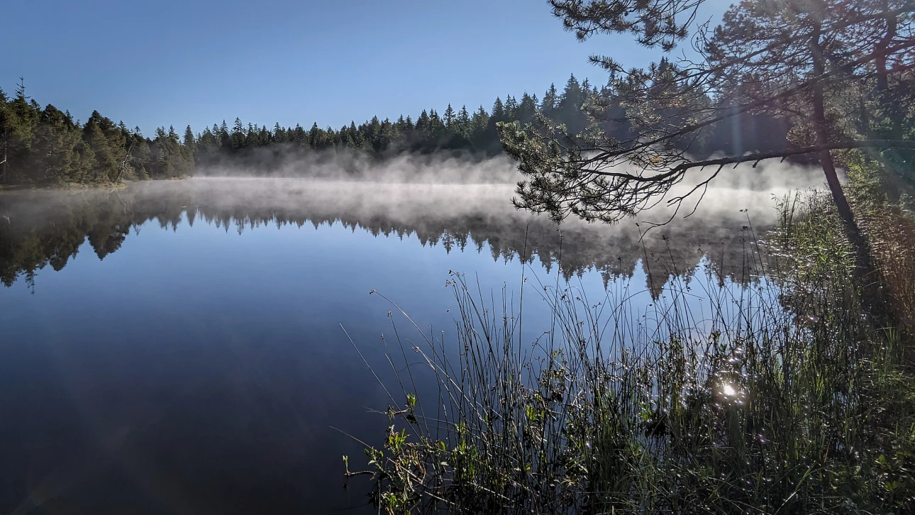 Wasserdampf über dem Etang