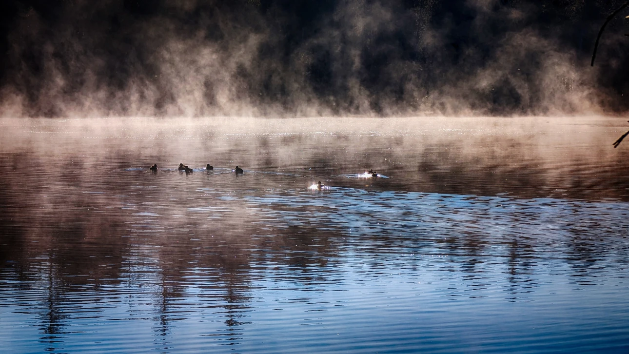 Gruppenausflug am Morgen