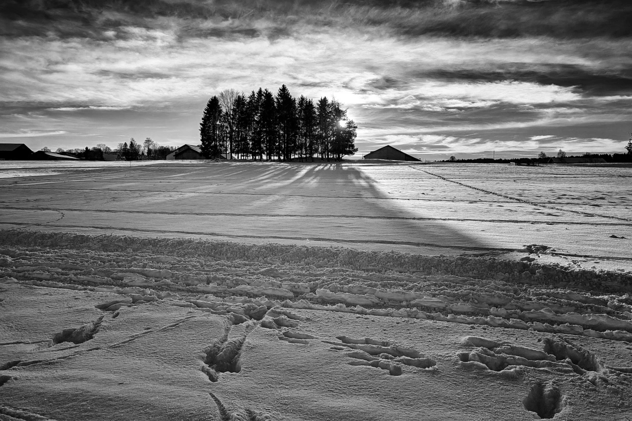 Winter im Gegenlicht