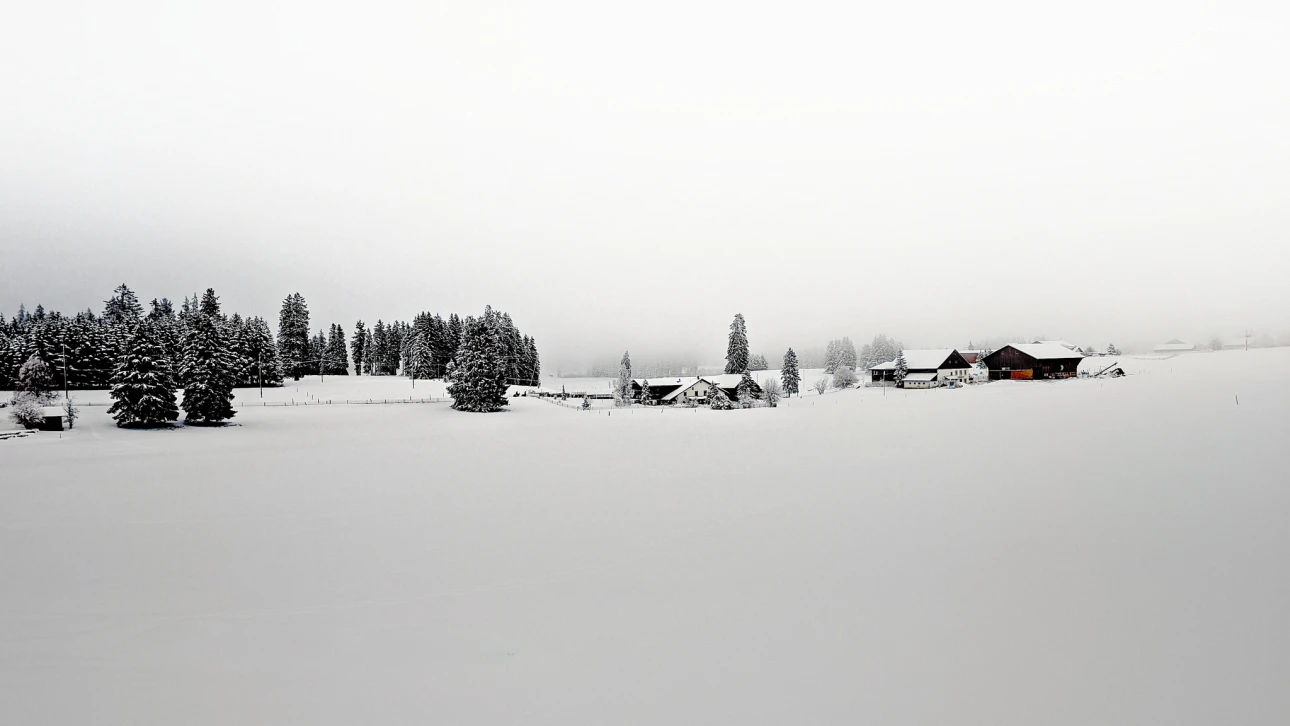 Nebel und Schnee