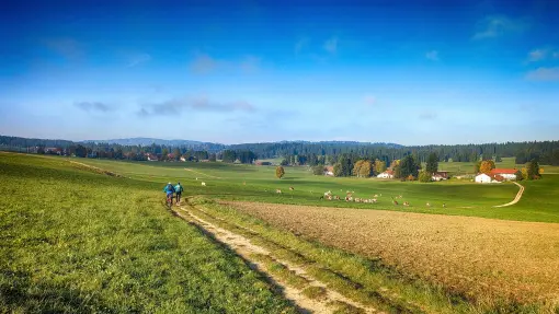 Fahrt über Juraweiden