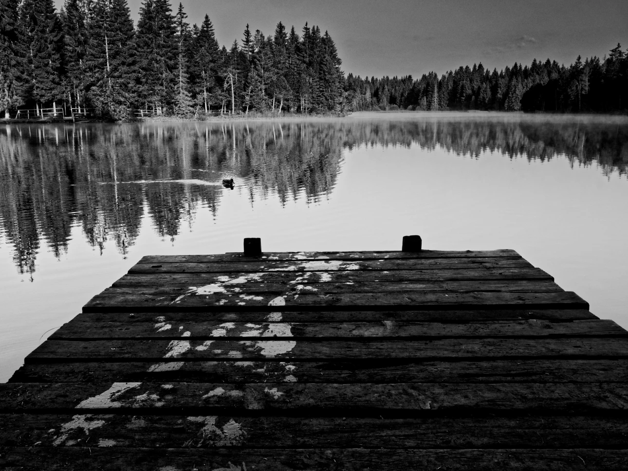 War da jemand? Am Etang de la Gruère