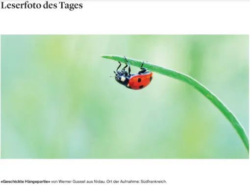 Leserfoto des Tages im BT