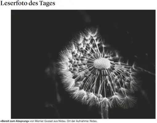 Leserfoto des Tages vom 28. Dezember 2020 im Bieler Tagblatt