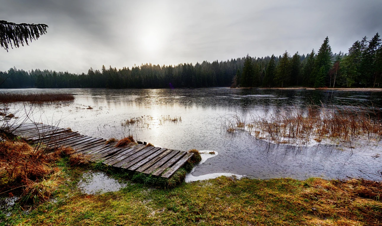 Erste Eisschicht auf dem Etang