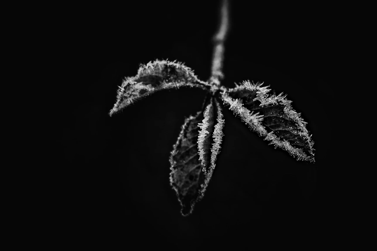 Nach einer kalten Nacht