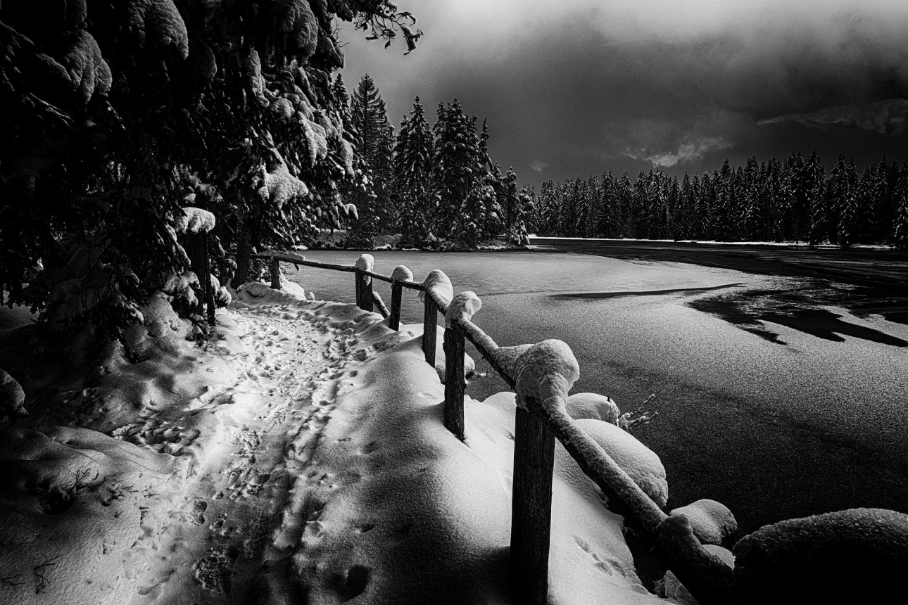 Der Weg