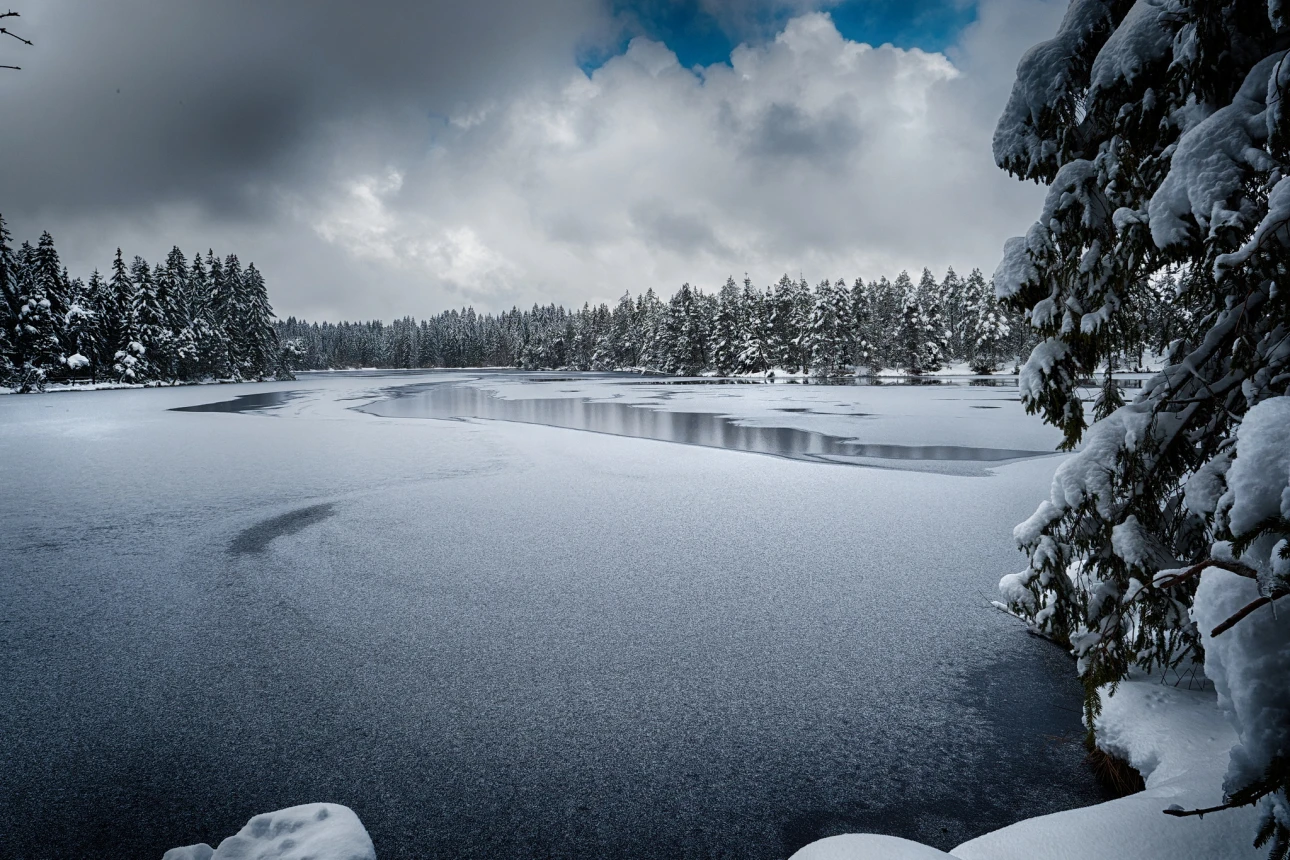 März Winter am Etang de la Gruère