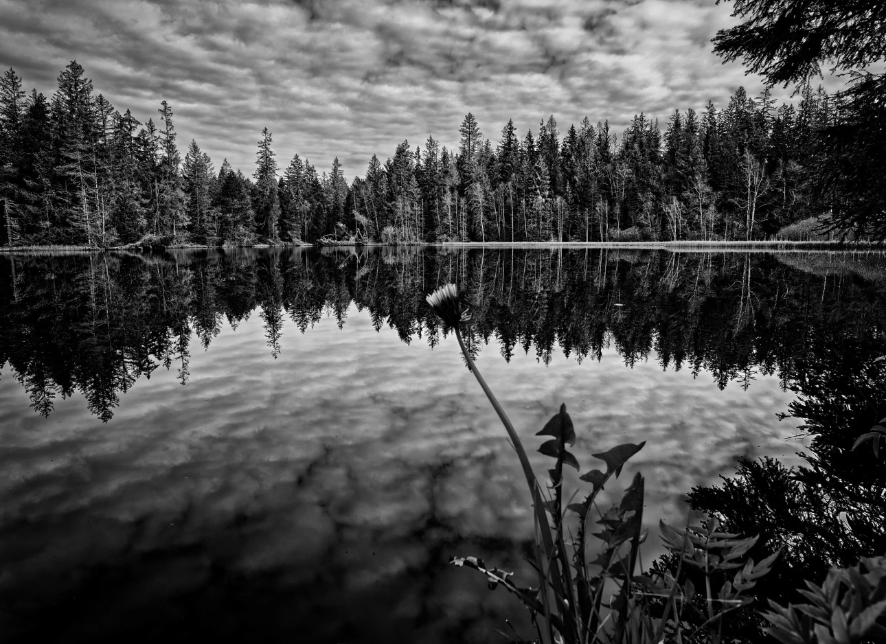 Bedeckter, ruhiger Morgen