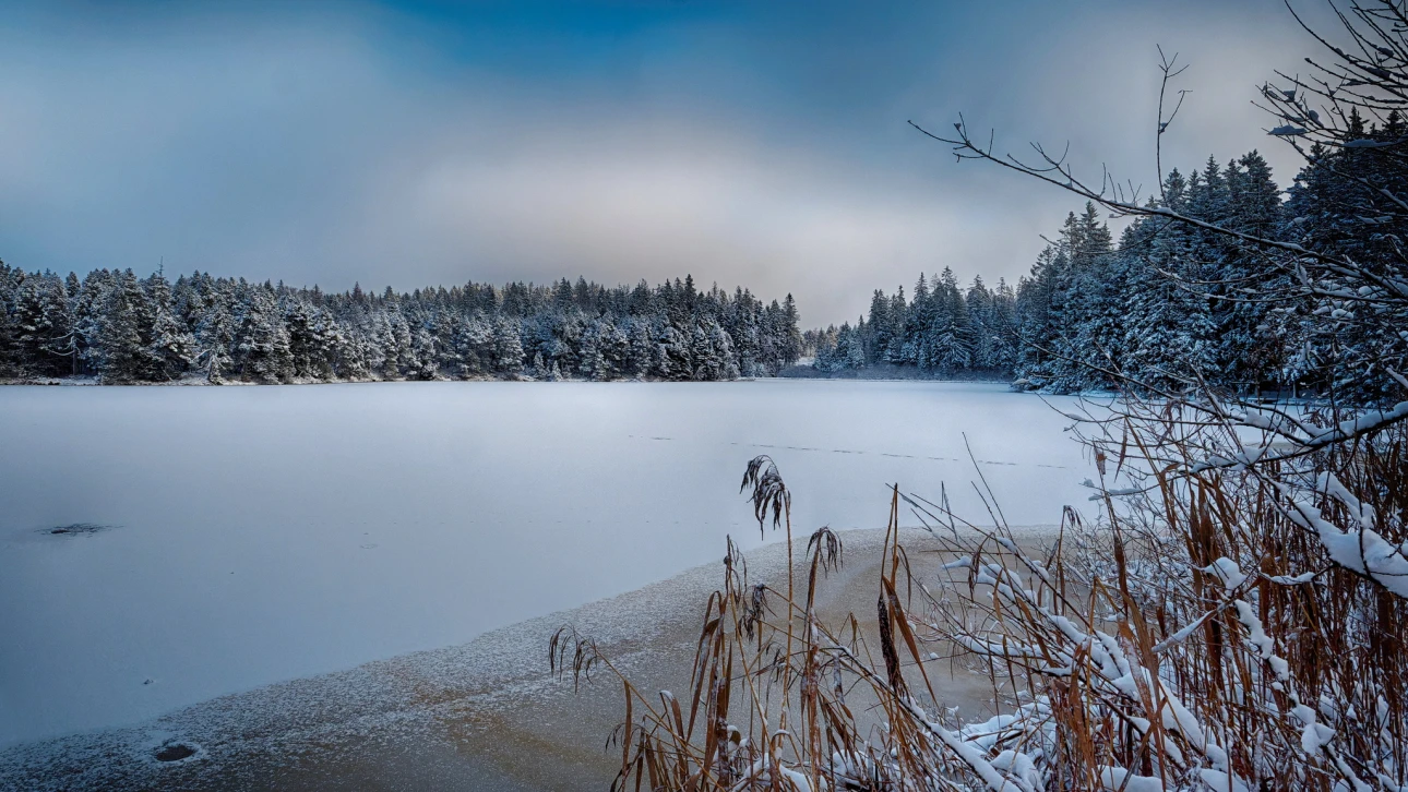 Zugefrorener Etang de la Gruére am Morgen