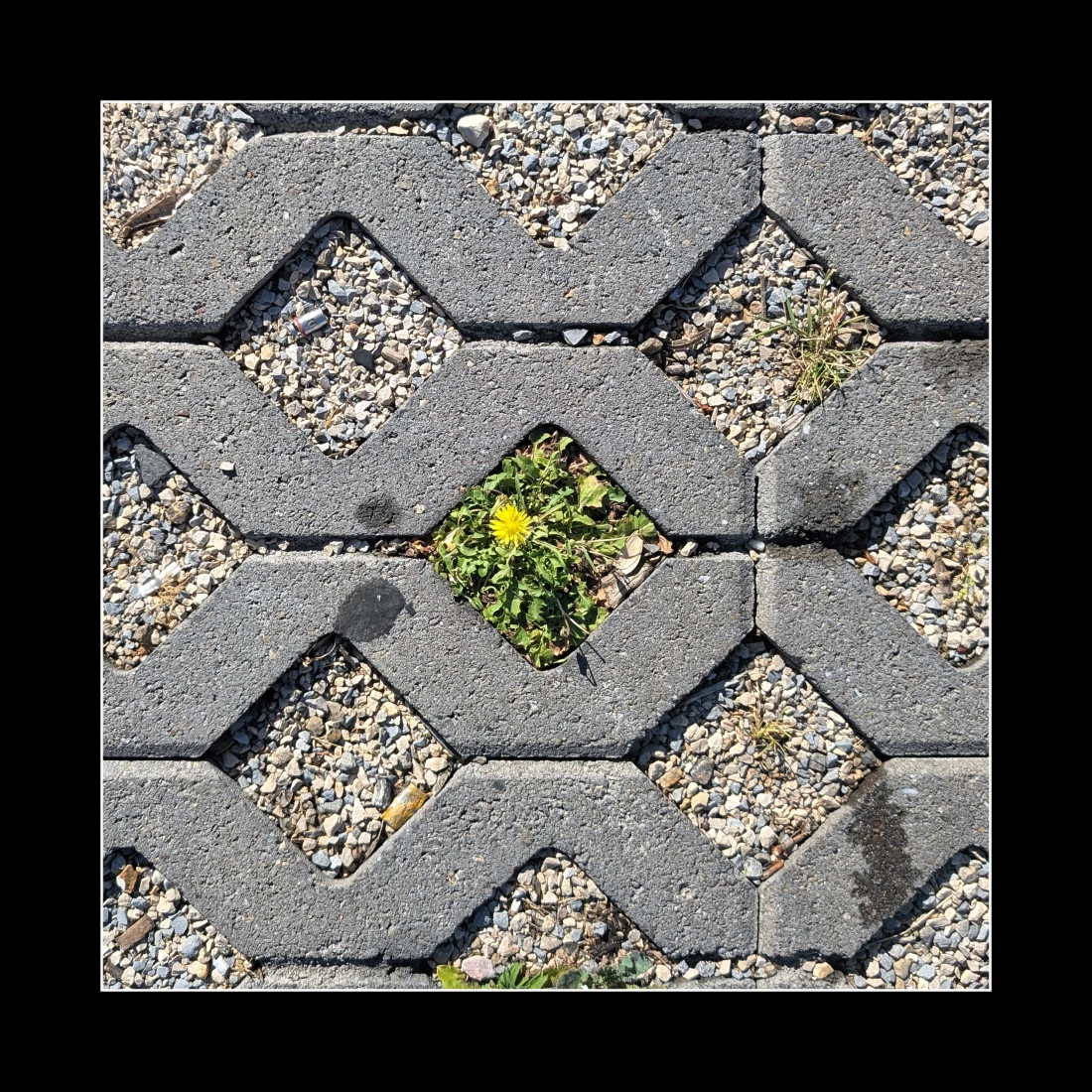 Natur eingeschränkt 1