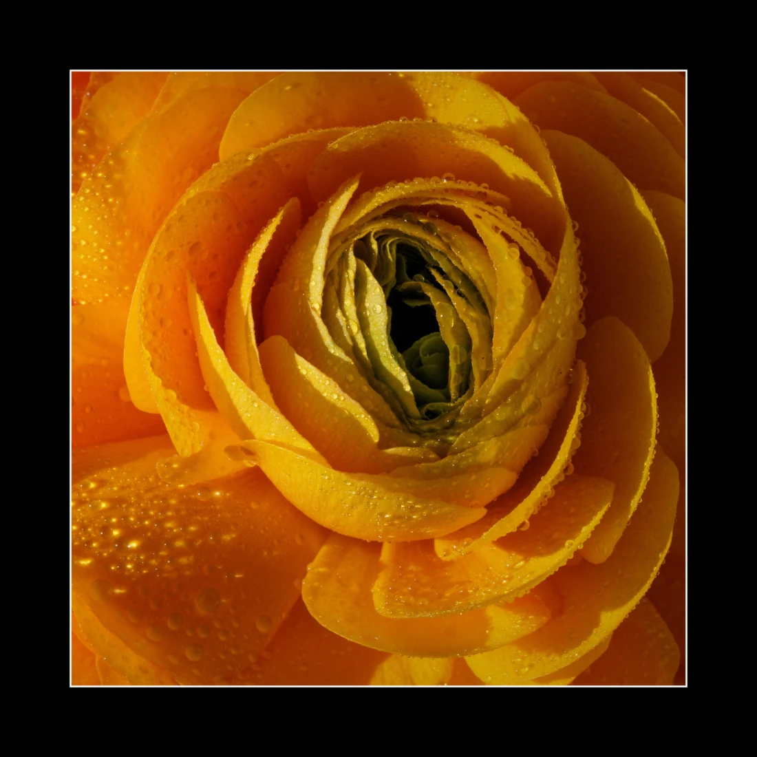 Im frischen Morgenlicht