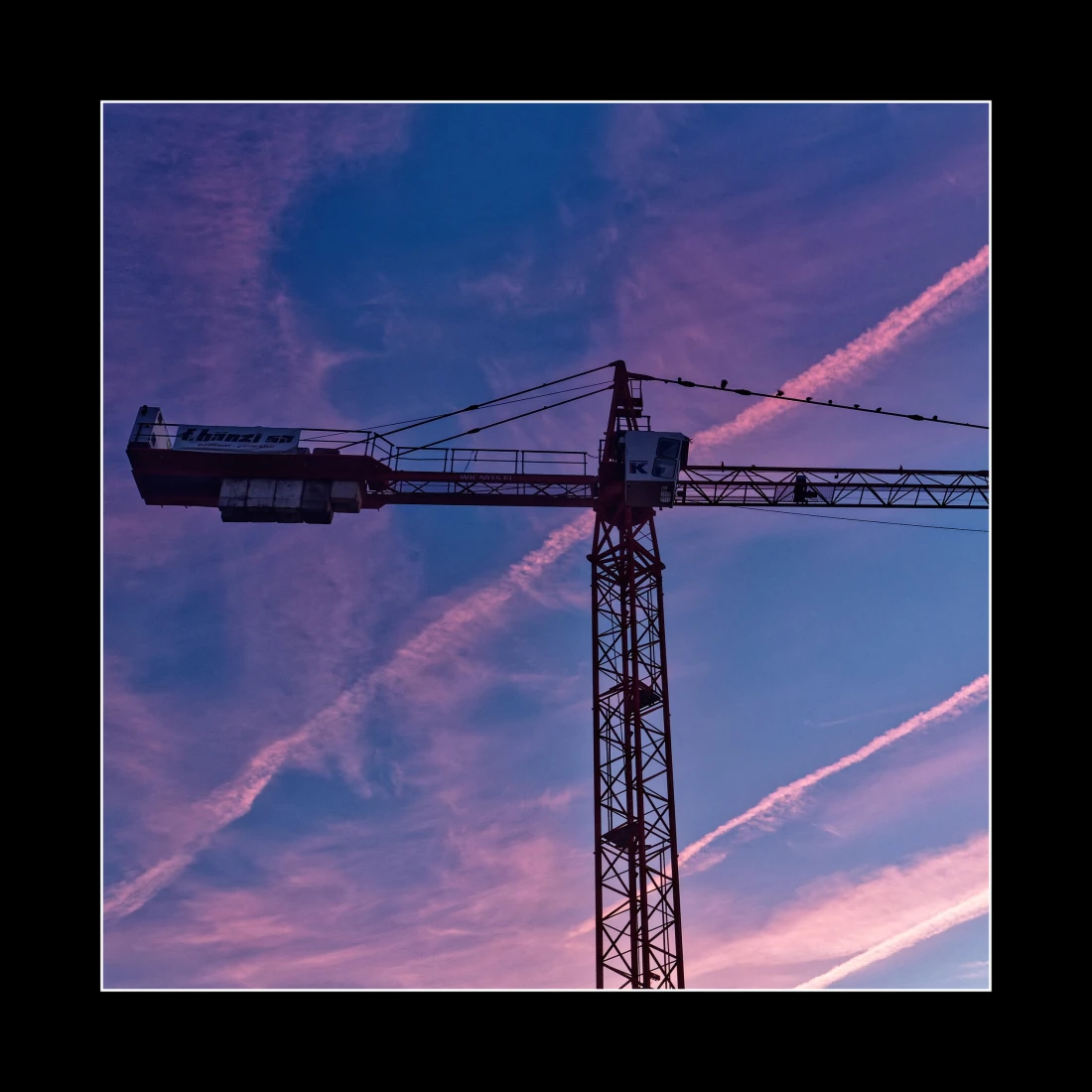 Der Kran am Morgen