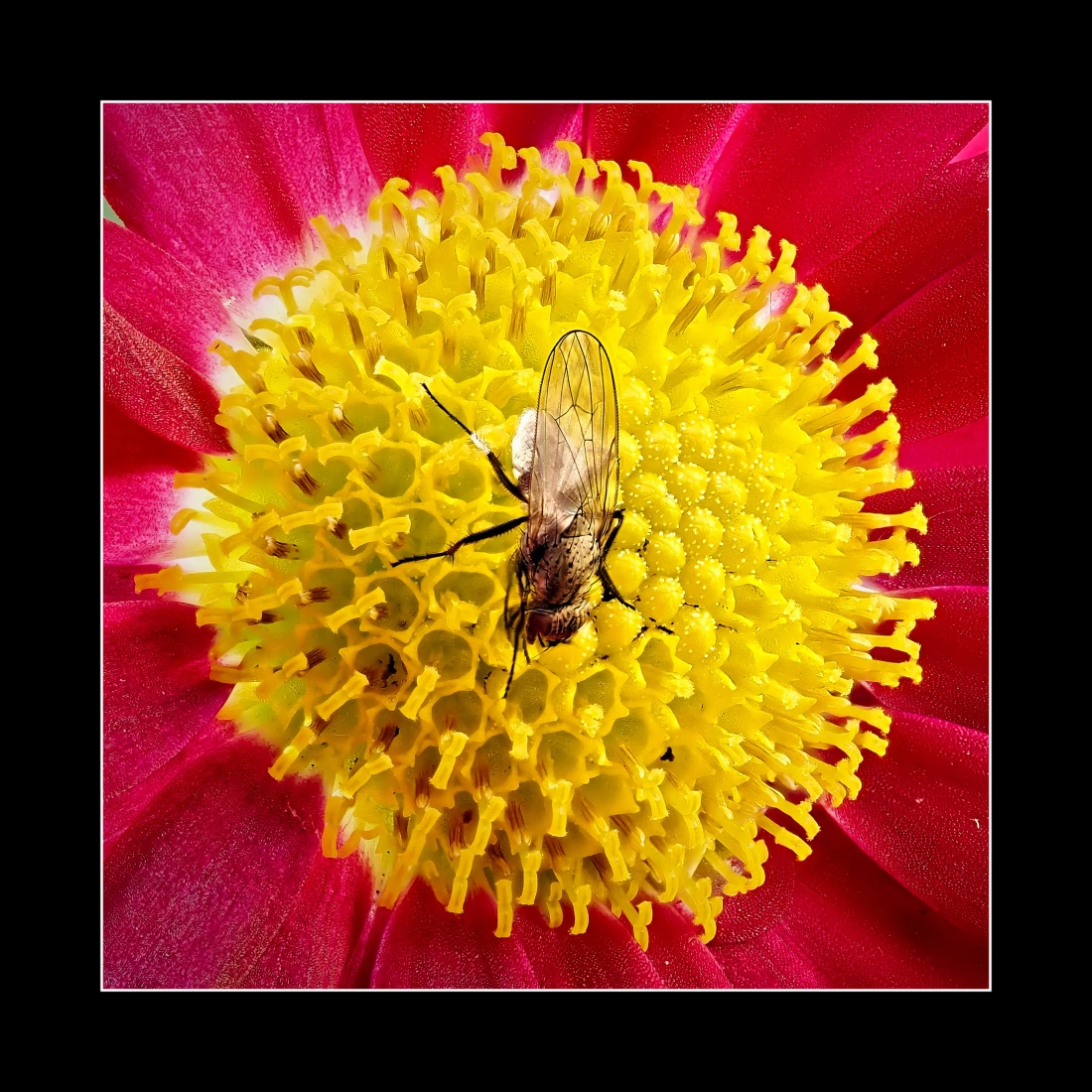 In der Mitte des Zentrums