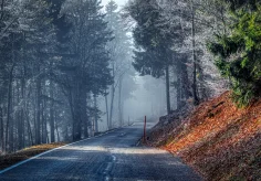 Strasse am Chasseral