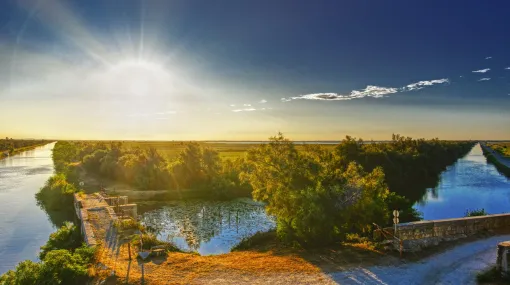 Morgensonne über der Petite-Camargue