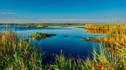 Etang du Charnier in der Petite Camargue