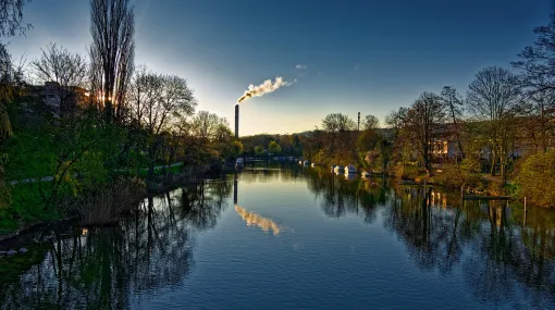 Morgen am Zihlkanal
