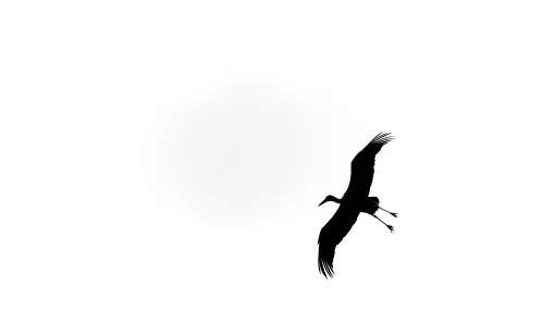 Storch im Flug
