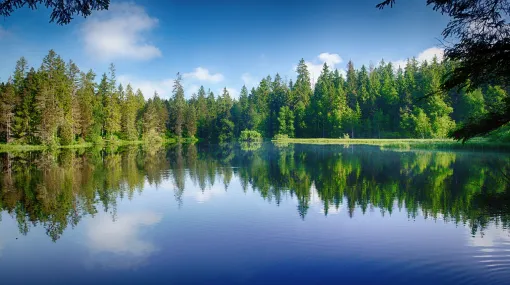 Blau Grün II