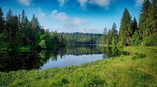 Blau Grün