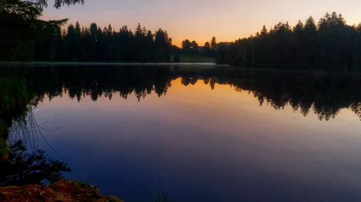 Früh am Morgen am Etang de la Gruère I