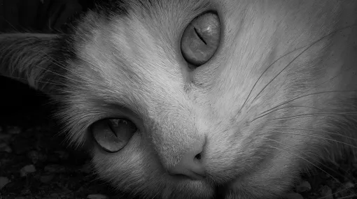 Myra entspannt