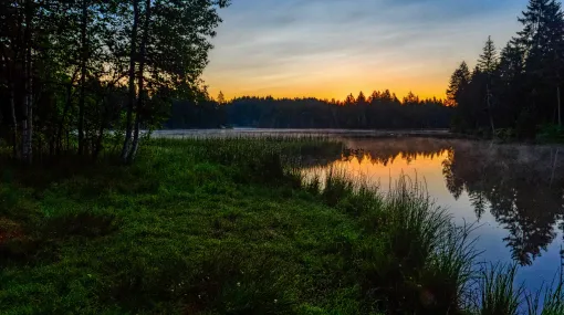 Früh am Morgen am Etang de la Gruère IV