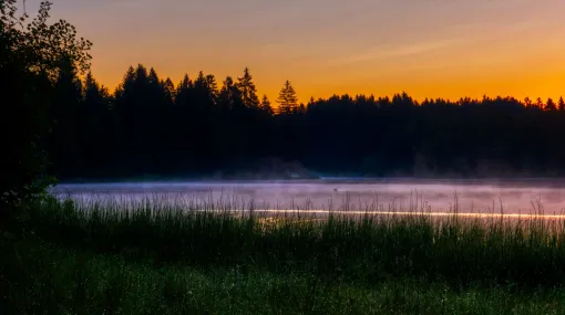 Früh am Morgen am Etang de la Gruère II