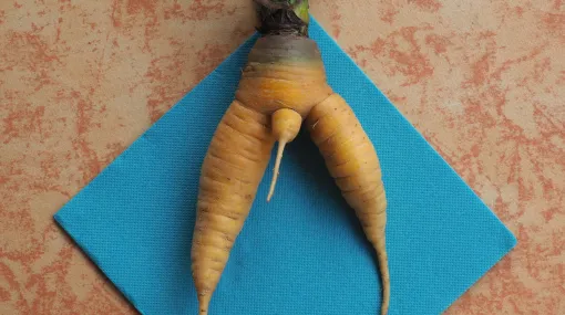 Aus unserem Garten (Rüeblimann)