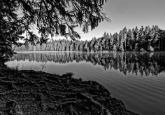 Am Etang de la Gruère