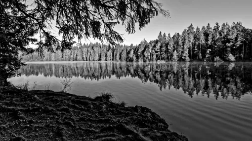 Am Etang de la Gruère