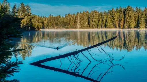 Reflektion II