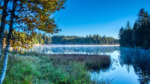 Morgenstimmung