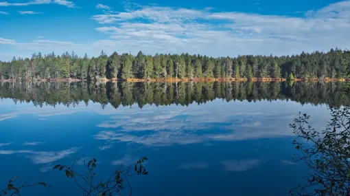 Reflektion V